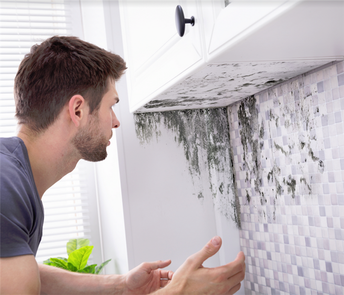 mold growing under a kitchen cabinet and a man looking at it